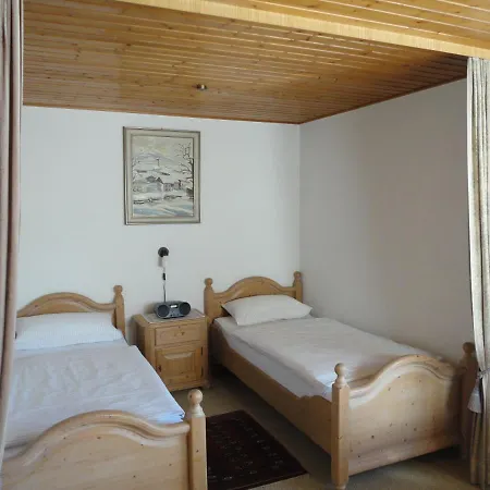 Haus Vogel-nest *