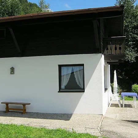 Haus Vogel-nest